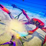 【カニゲー】Swtich用アクション「カニノケンカ -Fight Crab-」8月20日 発売決定【神ゲー】